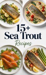 sea-trout-ccccc-69095