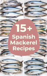 spanish-mackerel-ccccc-25578