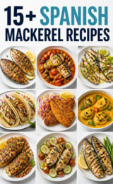 15+ Simple Spanish Mackerel Recipes You’ll Love to Try! spanish-mackerel-ccccc-51686
