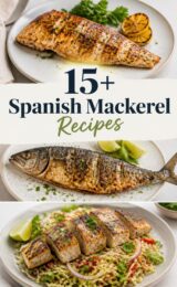 15+ Simple Spanish Mackerel Recipes You’ll Love to Try! spanish-mackerel-ccccc-86518