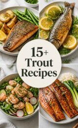 trout-ccccc-88153