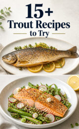 15+ Amazing Trout Recipes You’ll Want to Try Today! trout-ccccc-90939