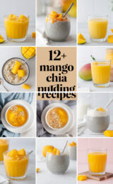 12-mango-chia-pudding-recipes-bbbbb-54565