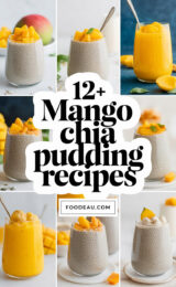 12-mango-chia-pudding-recipes-ccccc-66722