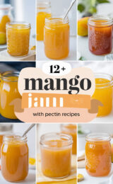 12-mango-jam-with-pectin-recipes-bbbbb-99107