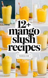 12-mango-slush-recipes-ccccc-67776