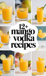 12-mango-vodka-recipes-bbbbb-60871