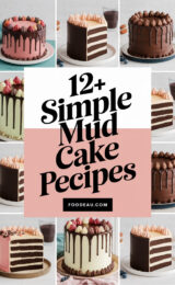 12-simple-mud-cake-recipes-ccccc-13969