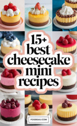 15-best-cheesecake-mini-recipes-ccccc-81721