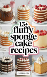 15-fluffy-sponge-cake-recipes-ccccc-17977