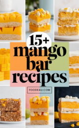 15-mango-bar-recipes-ccccc-14899
