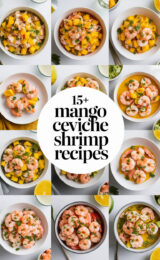 15-mango-ceviche-shrimp-recipes-bbbbb-51793