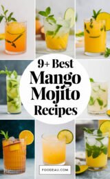9-best-mango-mojito-recipes-ccccc-29751