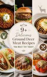 9-delicious-ground-ccccc-23812