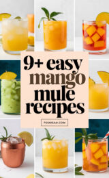 9-easy-mango-mule-recipes-ccccc-85978