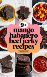 9+ Delicious Mango Habanero Beef Jerky Recipes to Try Today! 9-mango-habanero-beef-jerky-recipes-ccccc-13035