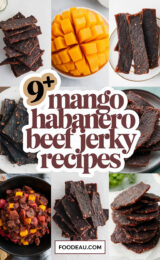 9-mango-habanero-beef-jerky-recipes-ccccc-22933