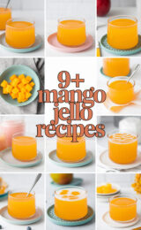 9-mango-jello-recipes-bbbbb-37710