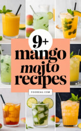 9-mango-mojito-recipes-ccccc-85166