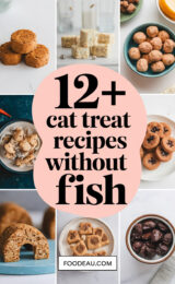 12-cat-treat-recipes-without-fish-bbbbb-93297