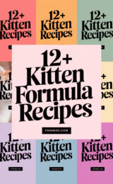 12-kitten-formula-recipes-bbbbb-76566