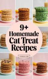 9-homemade-cat-treat-recipes-ccccc-81321