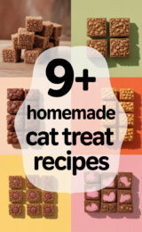cat-treats-ccccc-25634