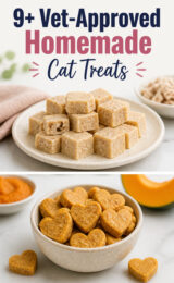 homemade-cat-treats-ccccc-20368