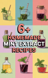 mint-extract-ccccc-10960