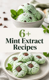 6+ Delightful Homemade Mint Extract Recipes to Freshen Up Your Kitchen Creations! mint-extract-ccccc-24266