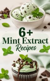 6+ Delightful Homemade Mint Extract Recipes to Freshen Up Your Kitchen Creations! mint-extract-ccccc-92217