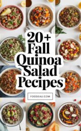 20+ Fall Quinoa Salad Recipes 20-fall-quinoa-salad-recipes-ccccc-38141