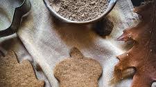 Acorn Flour Cookies
