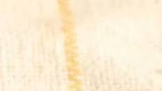 Apple and Cinnamon Cupcakes