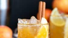 Apple Cider Bourbon Cocktail