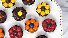 Fall Daisy Mini Cupcakes