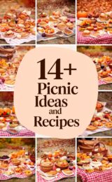 14+ Fall Picnic Ideas and Recipes fall-picnic-ccccc-53835
