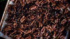 Maple Pecan Bark + Cranberries, Orange Zest & Black Pepper