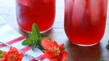 Pomegranate Ginger Sparkler