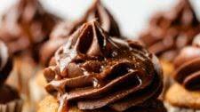 Pumpkin Dessert Recipes: Pumpkin Chocolate Cupcakes
