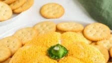 Pumpkin Shaped Cheese Ball (Easy Fall Appetizer)