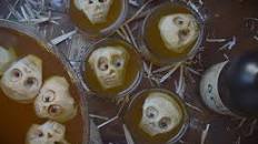 Rotten Apple Cider