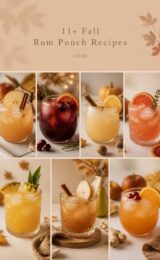 11+ Fall Rum Punch Recipes rum-punch-ccccc-56358