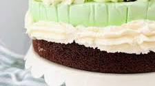 The Easiest Mint Chocolate Ice Cream Cake Recipe