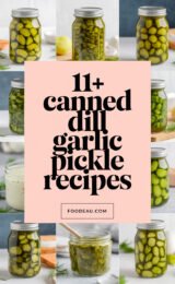 11+ Canned Dill Garlic Pickle Recipes 11-canned-dill-garlic-pickle-recipes-simplifies-to-11-dill-garlic-pickle-recipes-ccccc-53205