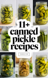 11+ Canned Dill Pickle Kosher Recipes 11-canned-dill-pickle-recipes-ccccc-69561