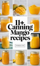 11-canning-mango-recipes-ccccc-97300