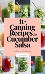 11-canning-recipes-for-cucumber-salsa-simplifies-to-11-canning-recipes-for-salsa-ccccc-85509
