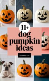 11-dog-pumpkin-ideas-ccccc-50058