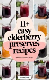11+ Easy Elderberry Preserves Recipes 11-easy-elderberry-preserves-recipes-simplifies-to-11-elderberry-preserves-recipes-ccccc-84014
